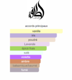 Asad Zanzibar Lattafa Parfum Homme 100ml - Parfum Store Maroc - Image 3